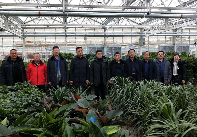1578905271883827.jpg 圖為:集團(tuán)考核領(lǐng)導(dǎo)小組參觀烏蘇花卉市場_副本_副本.jpg
