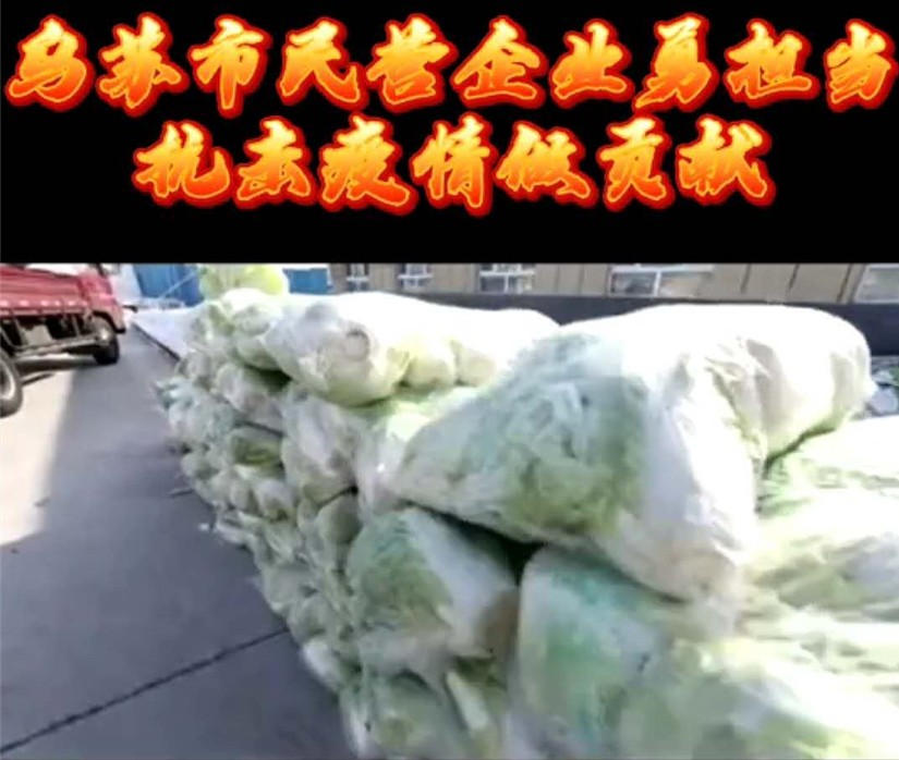 1585713877566780.jpg 圖為:烏蘇北園春市場(chǎng)商戶(hù)為政府捐白菜_副本.jpg